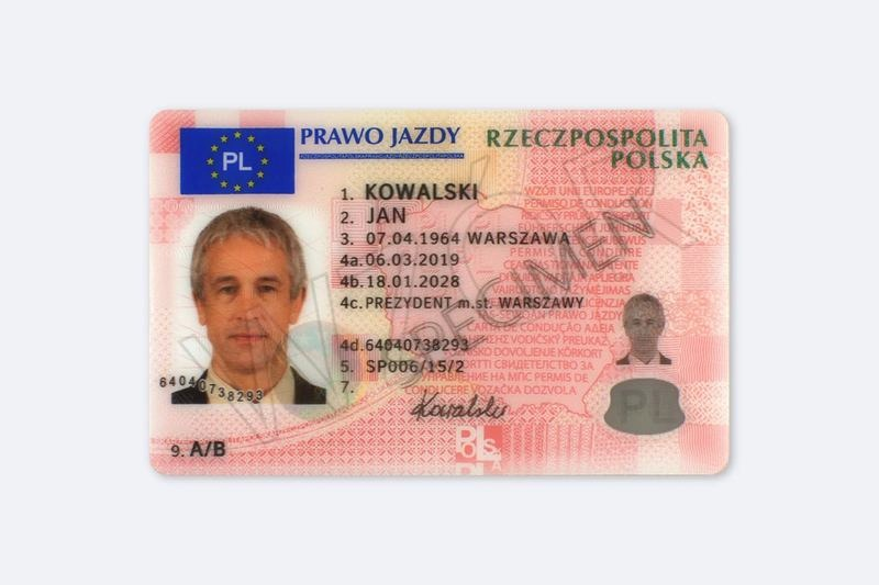 Jak sprawdzić, czy zabrano prawo jazdy? Szybka weryfikacja online